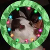 debbiestoneboles - @debbiestoneboles - TikTok