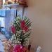 Deborah Bolin - Facebook