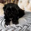 maggie mae - @debbieboling4 - TikTok