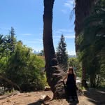 Debbie Bolt - @debbiedonyse - Instagram
