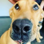 Debbie Boltman - @debbieboltman - Instagram