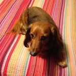 Debbie Bonds - @debbiebonds007 - Instagram