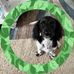 Debbie Bonds - Facebook