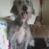 Debbie Winterbone - @debbie.winterbone - TikTok