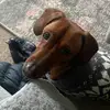 DBoothy - @debbiebooth45 - TikTok