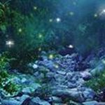 Debbie Booth - @booth7237 - Instagram