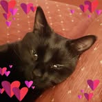 Debbie Booth - Facebook