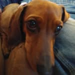 debbie borcherding - @debbie_borcherding1 - Instagram