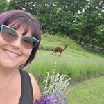 Debbie Boren - @littledebbieboren - Instagram
