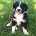 Debbie Borkgren - Facebook