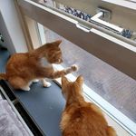 Debbie Bosch - @debb.ie7646 - Instagram