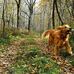 Debbie Bothwell - Facebook
