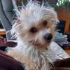 debbiebothwell - @debbiebothwell - TikTok