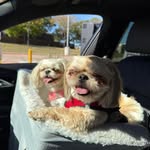 Debbie Bottorff - @deb_13 - Instagram