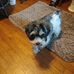 Debbie Botts - Facebook