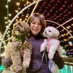 Debbie Boucher - @debbie71boucher - Instagram