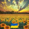 Debbie Boudreau477 - @debbieboudreau477 - TikTok