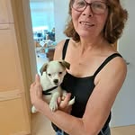 Debbie Boudreau - @debbie.boudreau.121 - Instagram