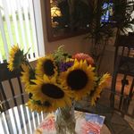Debbie Boudreau - @boudreau544 - Instagram