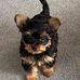 Debbie Boudreau - Facebook
