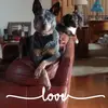 Debbie Bowersock - @debbiebowersock - TikTok