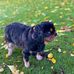 Debbie Bowes - Facebook