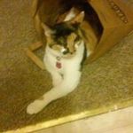 Debbie Bowles - @bowles.debbie - Instagram