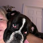 Debbie Bowles - @debbie.bowles.312 - Instagram