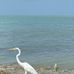 Debbie Bowles - Facebook