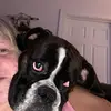 Debbie Bowles - @debbie.bowles - TikTok