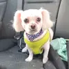 debbiebowling - @deb.d.bowling - TikTok