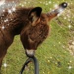 Debbie Bowyer - @debster7 - Instagram