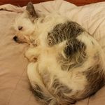 Debbie Bowyer Waymoth - @waymothdebbiebowyer - Instagram