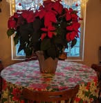Debbie Braatz - Facebook