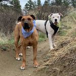 Debbie Brace - @debbiebrace36 - Instagram