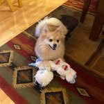 Debbie Brace - @debdog58 - Instagram