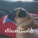 Debbie Bracewell - @debbie_b40 - Instagram