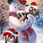 Debbie C Bunnell-Bracken - @debbiecbunnellbracken - Instagram