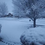 Debbie Brake - @debbie.brake.509 - Instagram