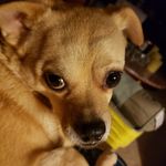 Debbie Brake - @brake1175 - Instagram
