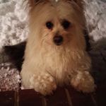 Debbie Brakefield - @debbiebrakefield - Instagram