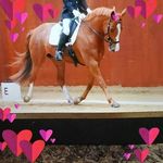 Debbie Brandon - @debbie.brandon.923 - Instagram