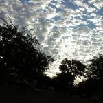 debbie brandon - @walmartstocker1 - Instagram