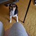 Debbie Brandon - Facebook