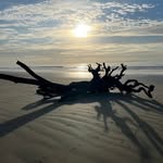 Debbie Brandon - @debbie.brandon.73 - Instagram