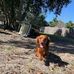 Debbie Brandon - Facebook