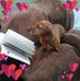 Debbie Bridge - Facebook