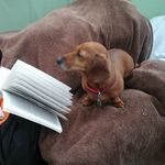 Debbie Bridge - @debbie.bridge.562 - Instagram
