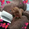 Debbie Bridge - @debbie.bridge90 - TikTok