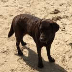 Debbie Bright - @debbie.bright1 - Instagram